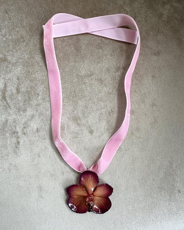 Dauphinette Blush Mokana Ribbon Choker (Limited Edition) Jewelry