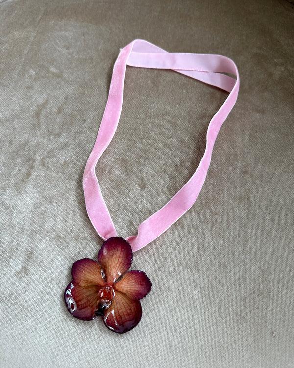 dauphinette Blush Mokana Ribbon Choker (Limited Edition) Jewelry