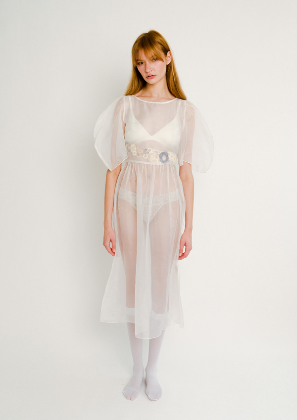 dauphinette Claude Bleeding Hearts Organza Dress Dresses