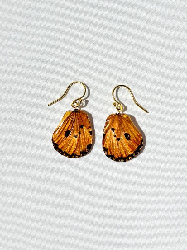 dauphinette Amber Mariposa (Pair)