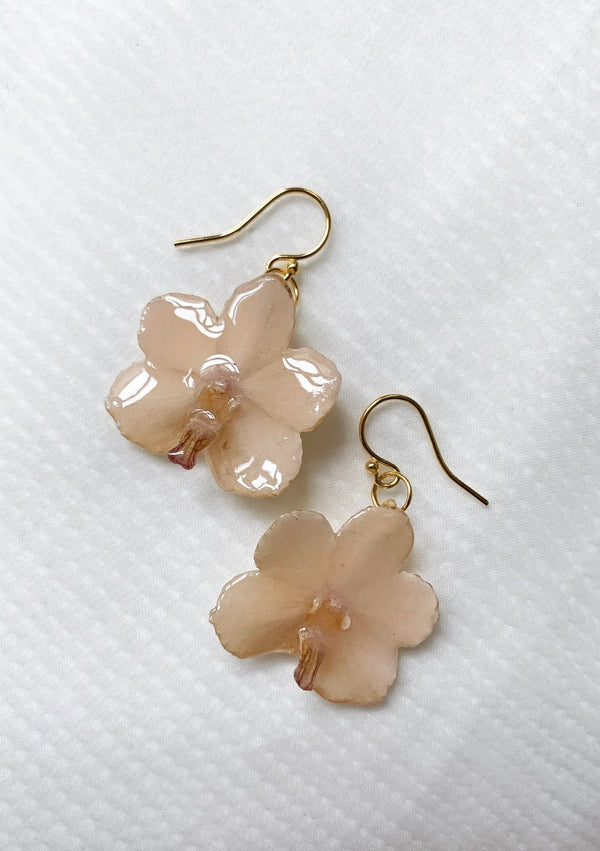 Dauphinette Baby Silk Orchid (Single)