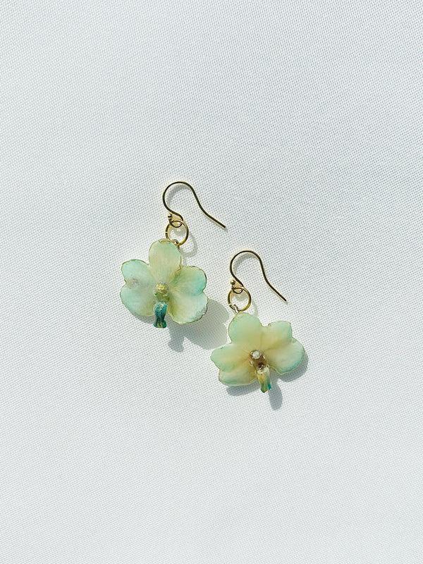 dauphinette Baby Sky Orchid (Single)