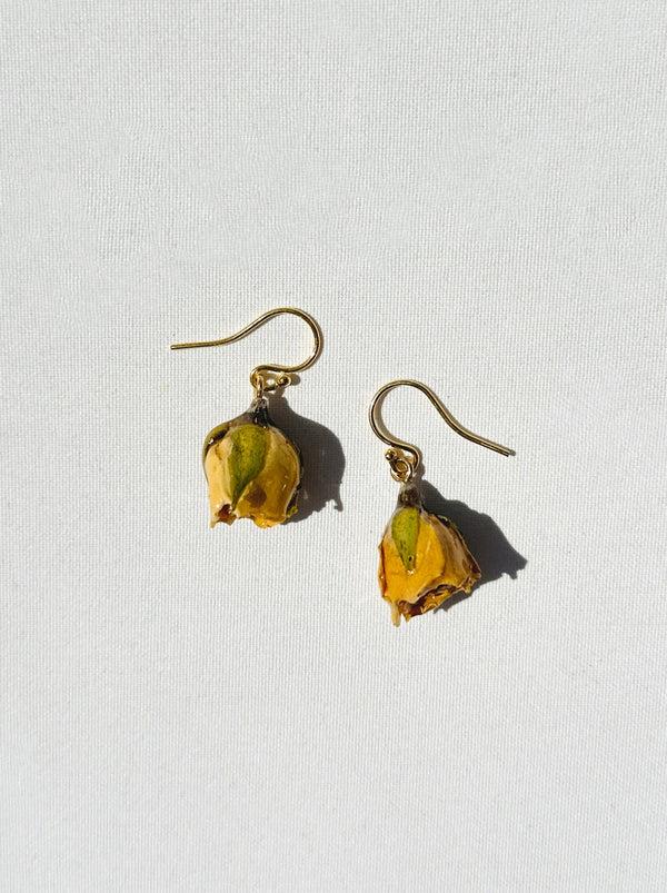 dauphinette Buttercup Rosebud (Single)