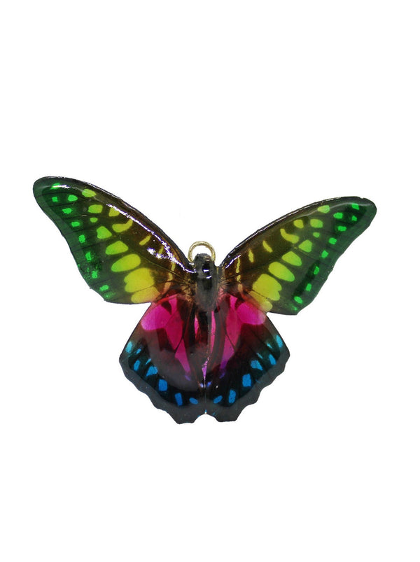 dauphinette Chroma Mariposa