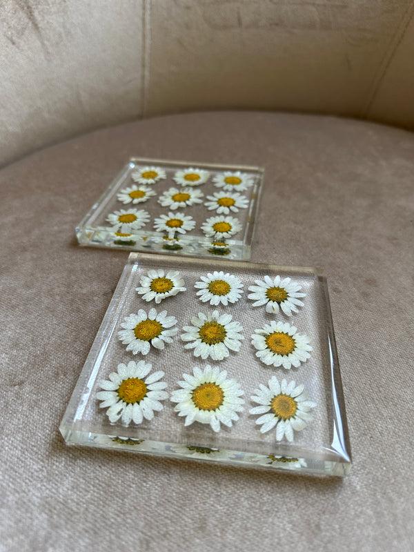 Dauphinette Daisy Fields Coaster