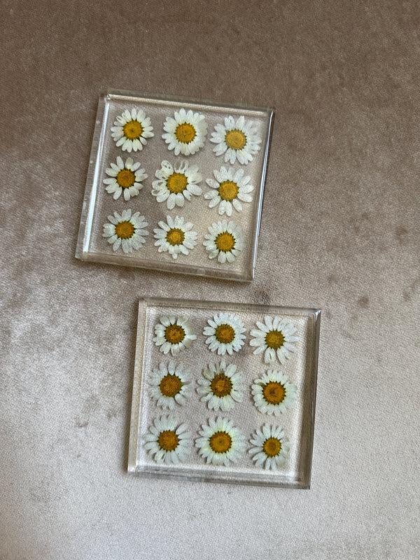 dauphinette Daisy Fields Coaster