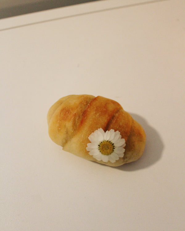 Dauphinette Daisy Petit Roll Lamp