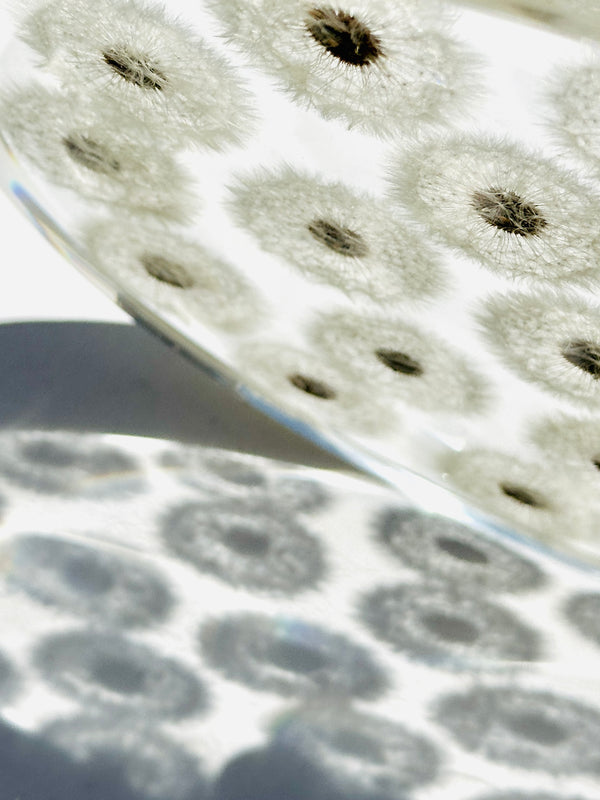 Dauphinette Dandelion Tray