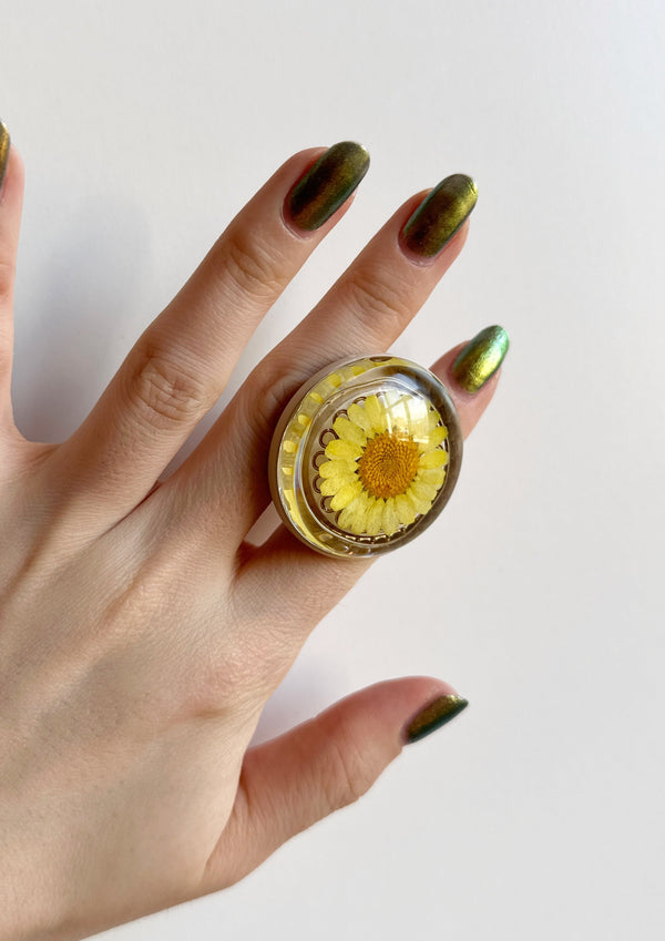 dauphinette Doorknobs de Dauphinette