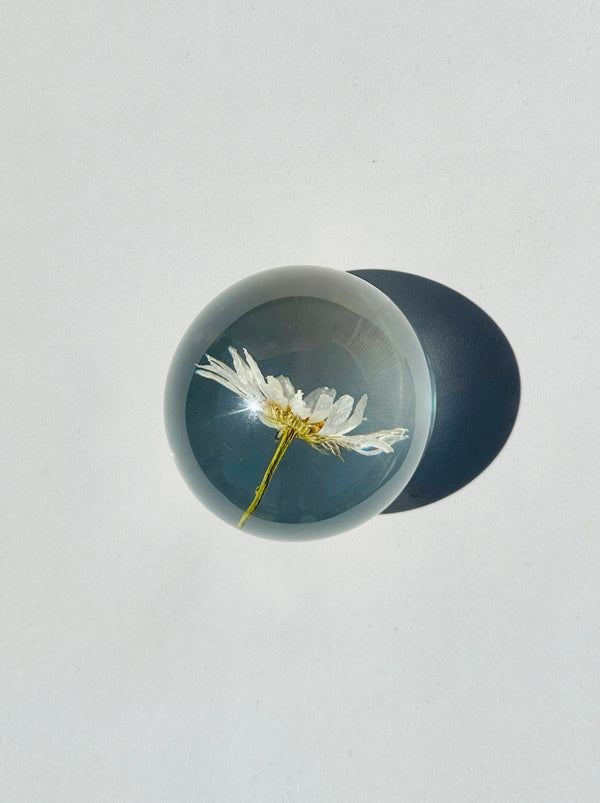 Dauphinette Field Daisy Crystal