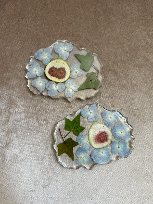 dauphinette Fig Garden Coaster