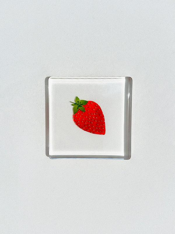 Dauphinette Fruit Salad Square Coasters Coasters