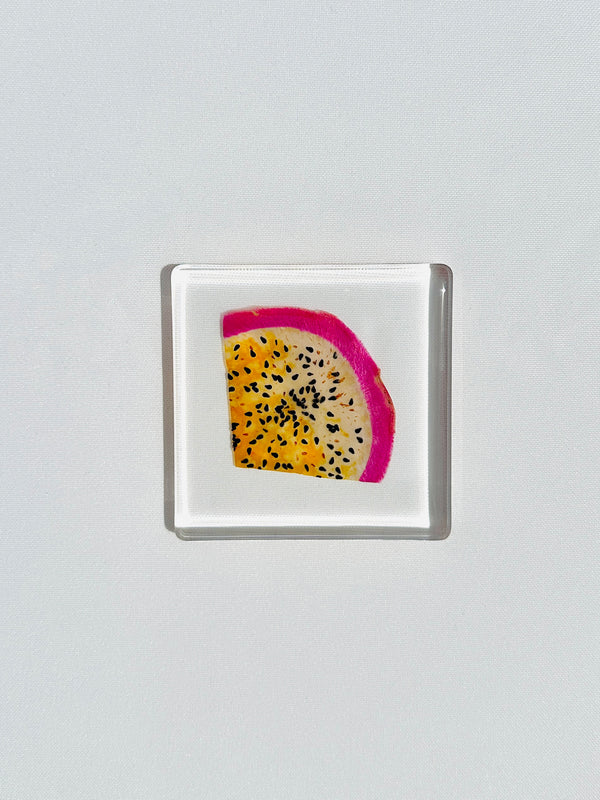 dauphinette Fruit Salad Square Coasters Coasters