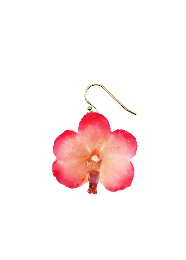dauphinette Glow Pink Mini Orchid