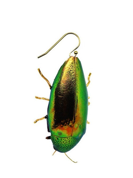 Dauphinette Happy Beetle Earring (Single)