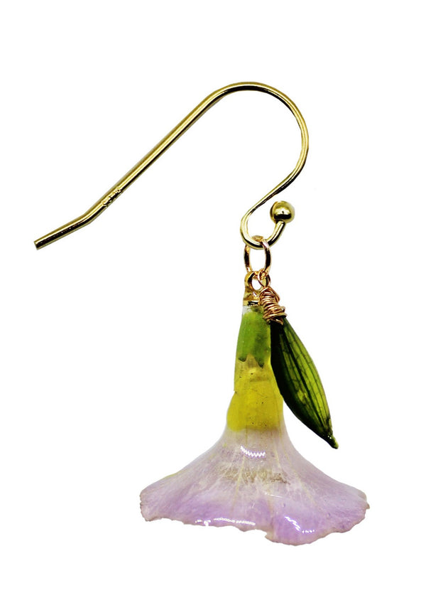 Dauphinette Lavender Petunia (Single)