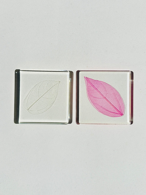 Dauphinette Magnolia Leaf Coasters