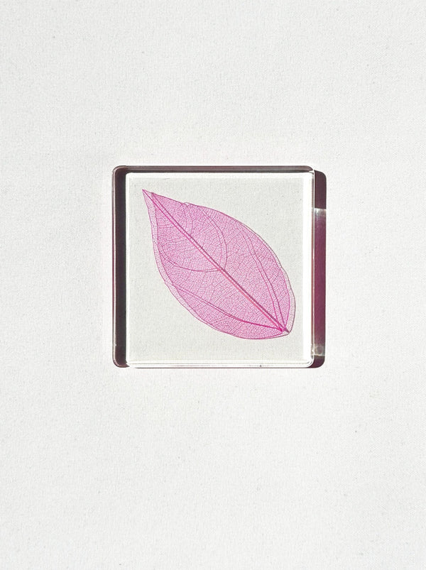 Dauphinette Magnolia Leaf Coasters