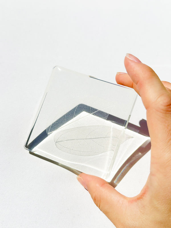 Dauphinette Magnolia Leaf Coasters