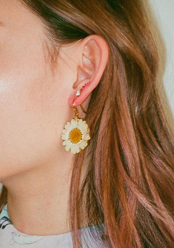 Dauphinette Mini Daisy (Single)