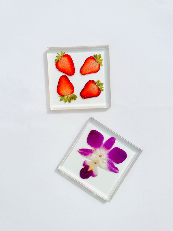 Dauphinette Orchid Coaster