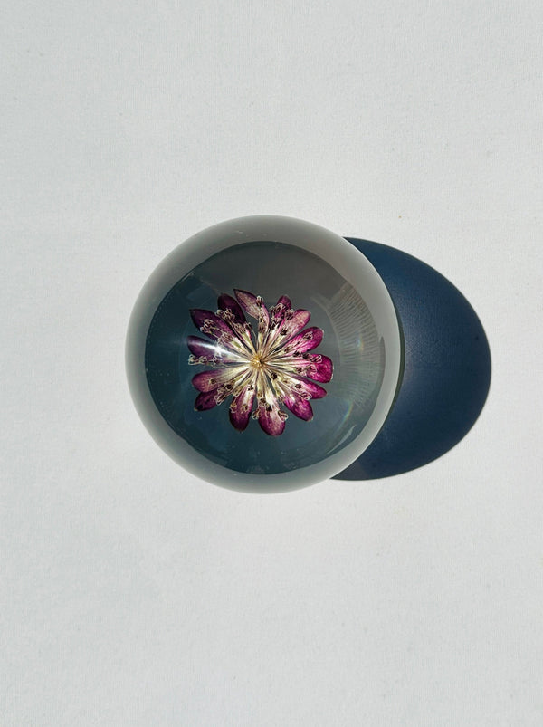 Dauphinette Passiflora Crystal