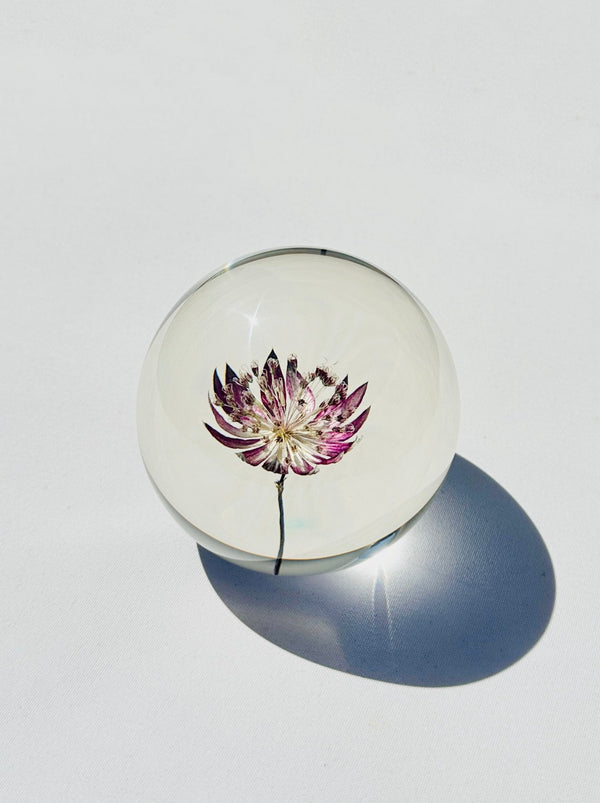 dauphinette Passiflora Crystal