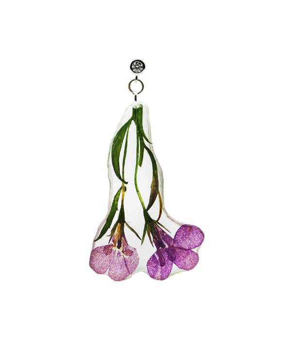 Dauphinette Pink Lobelia With Stem