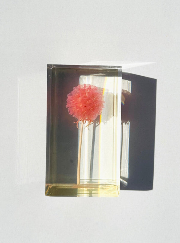 Dauphinette Pristimera Crystal