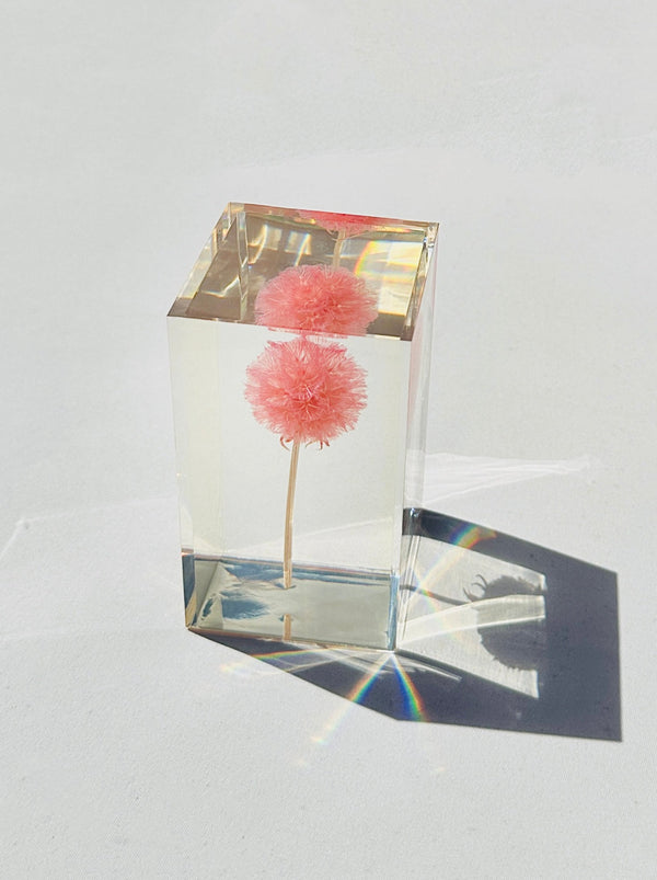 dauphinette Pristimera Crystal