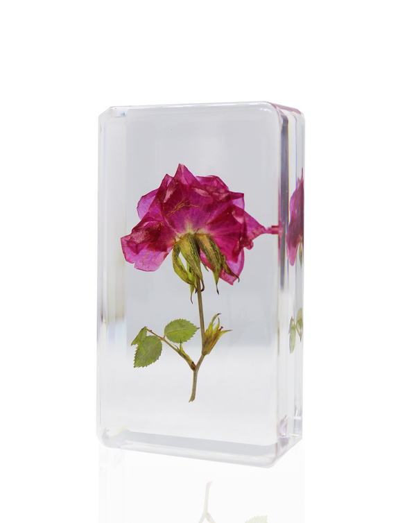 Dauphinette Rosalia Crystal Decor
