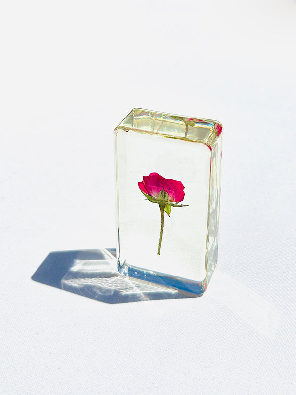 Dauphinette Rosalia Crystal Decor