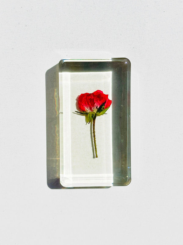 dauphinette Rosalia Crystal Decor