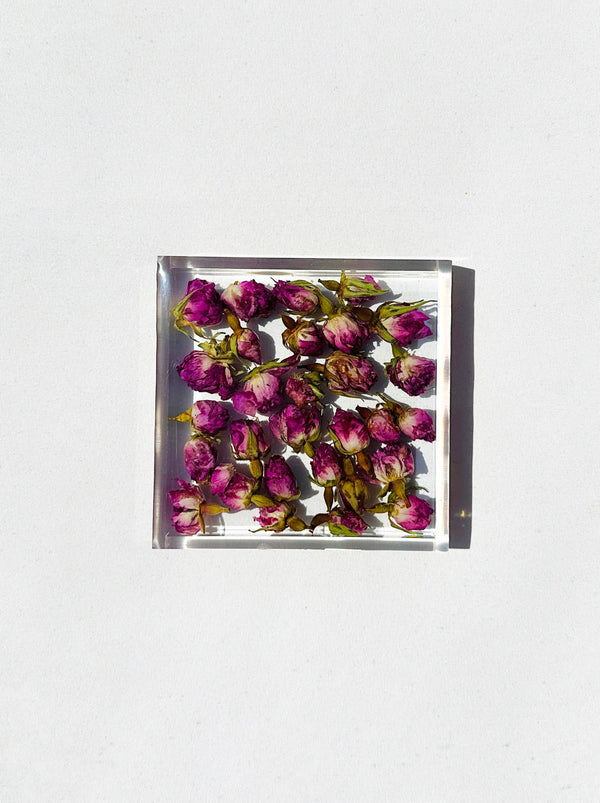 dauphinette Rose Garden Coaster