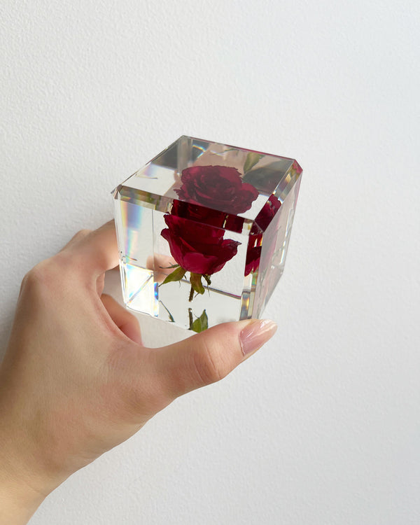 Dauphinette Rose Ice Cube Crystal