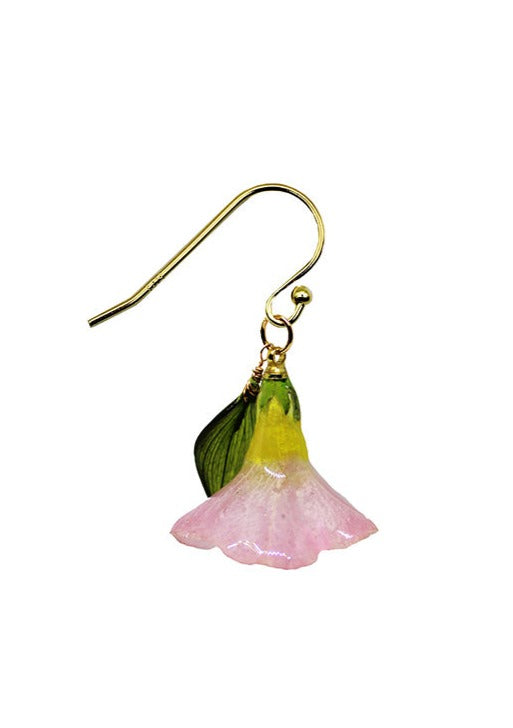 Dauphinette Rosy Petunia (Single)