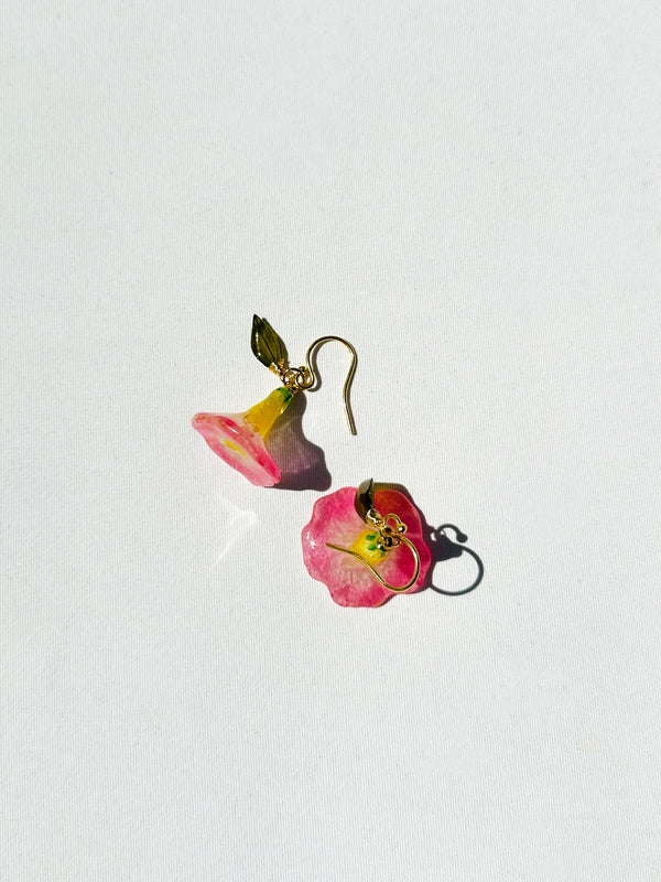 Dauphinette Rosy Petunia (Single)