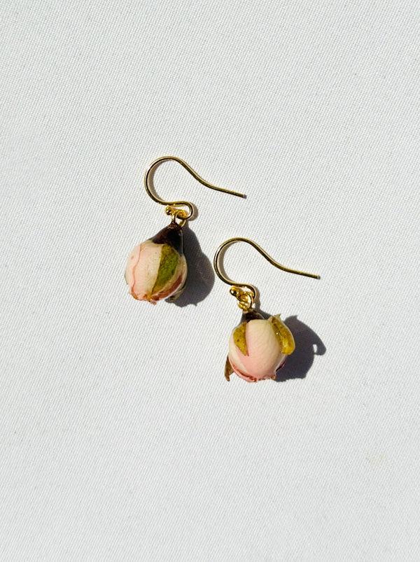 dauphinette Sakura Rosebud (Single)