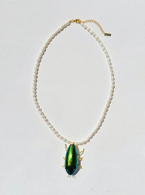 dauphinette Single Crawler