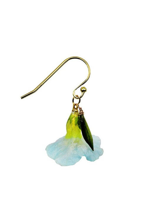 Dauphinette Sky Petunia (Single)