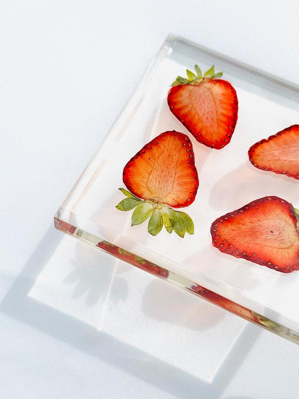 Dauphinette Strawberry Coaster