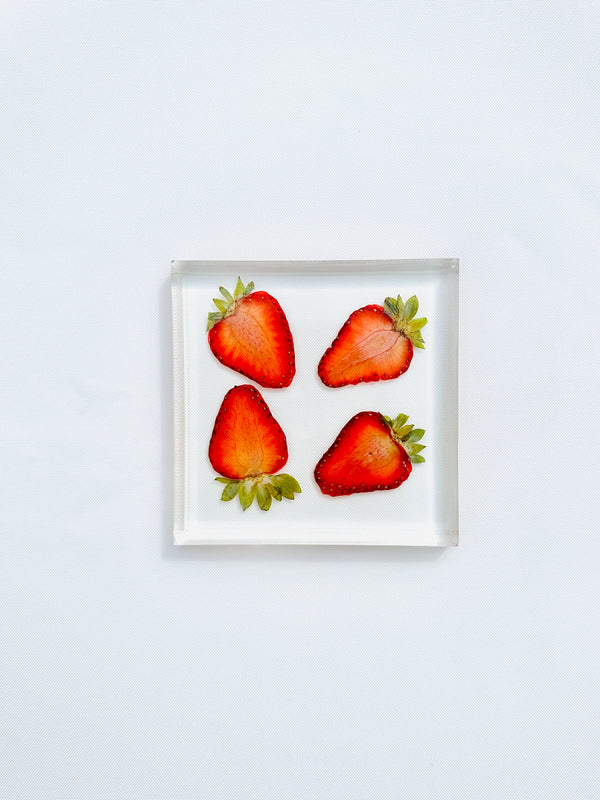 dauphinette Strawberry Coaster