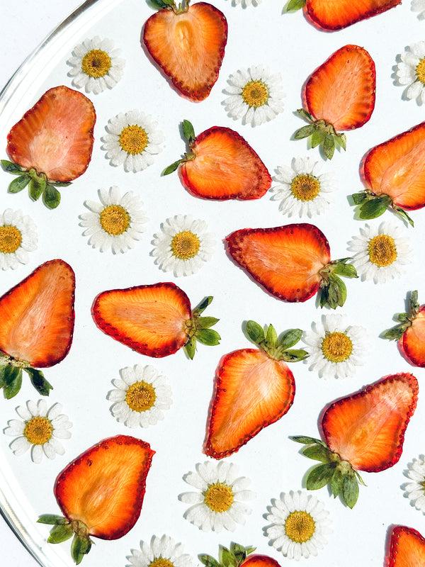 Dauphinette Strawberry & Daisy Round Tray