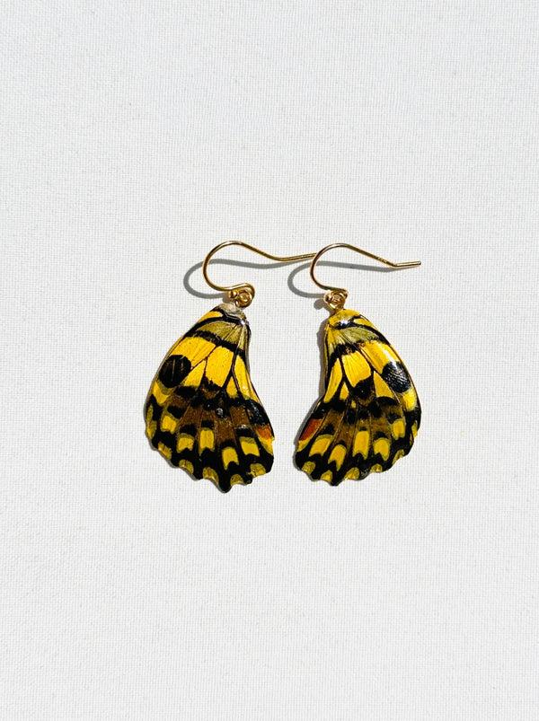 dauphinette Sun Mariposa (Pair)