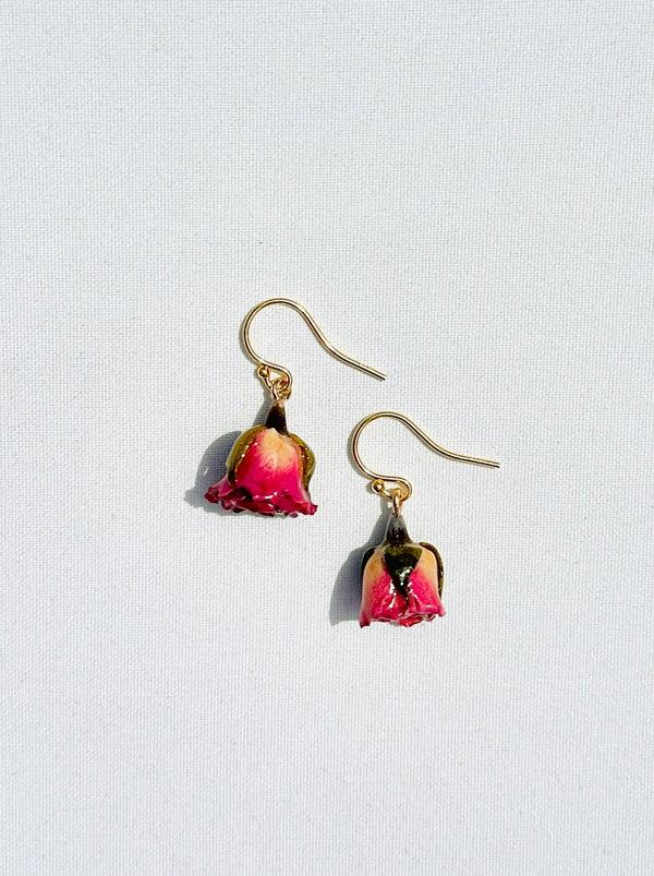 dauphinette Verona Rosebud (Single)