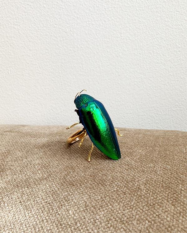 Dauphinette Victorian Beetle Ring