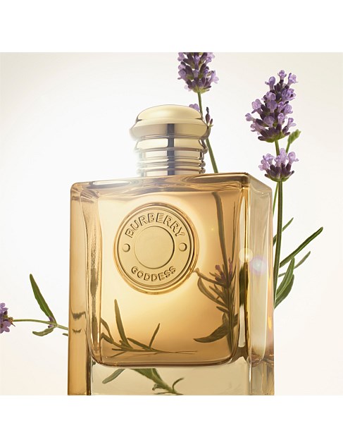 David Jones Burberry Goddess Eau De Parfum Intense 100ml
