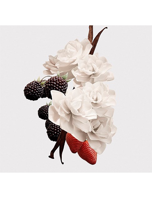 David Jones Burberry Her Elixir Eau De Parfum 100ml