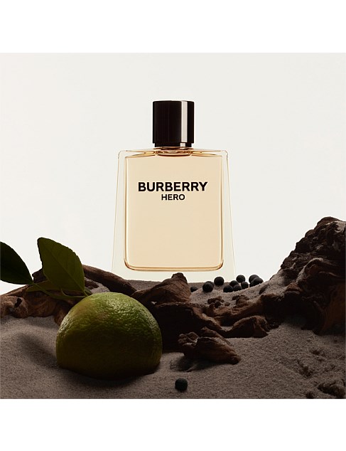David Jones Burberry Hero Eau De Toilette 100ml