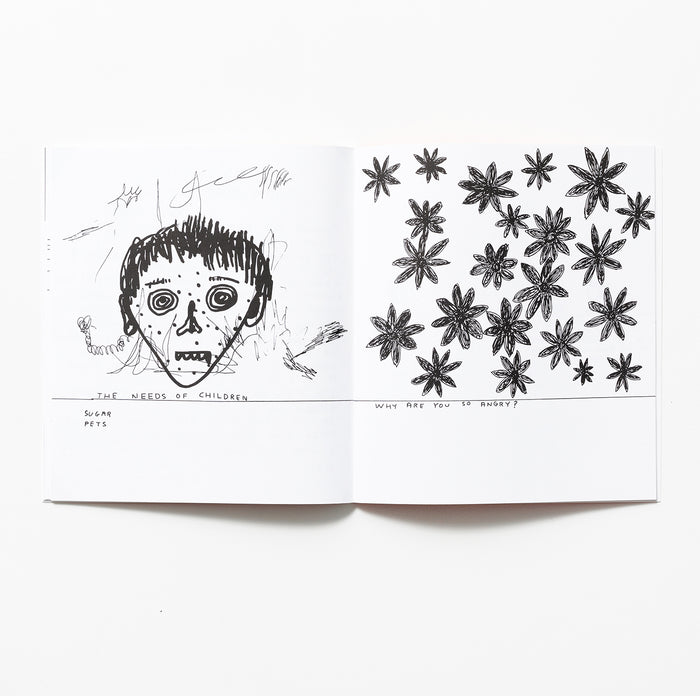 David Shrigley David Shrigley Books - Blocked Path Limited Edition (2004)
